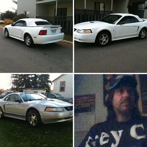 "FLYING FINN'S '05 MUSTANG"