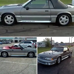 greyfox69's mustang