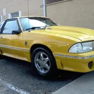 My Stang 5.0