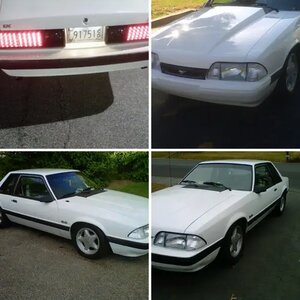 ze stang