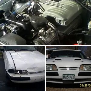 Fox-Body