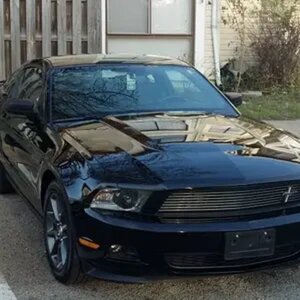 My Stang