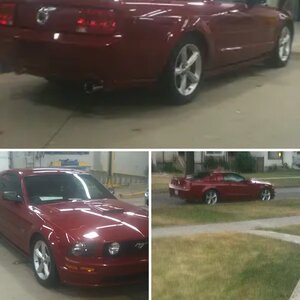 2008 mustang
