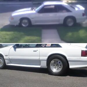 my notchback