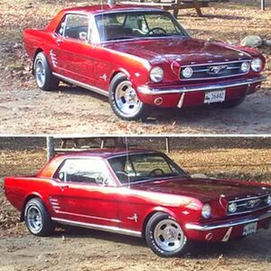 MY LOVE OF MUSTANGS