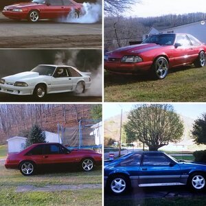 Stangs that has been in the stable