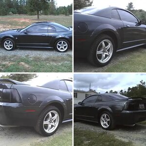 My New Edge Stang