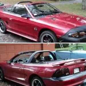 My stang