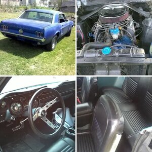 My 67 Mustang project.