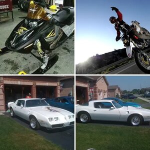 Stangstrokes toybox