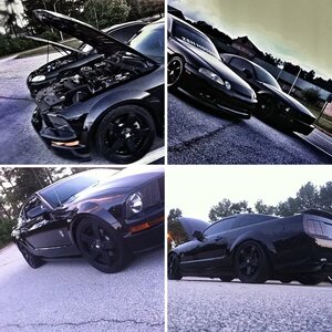 2005 Mustang GT Blacked Out