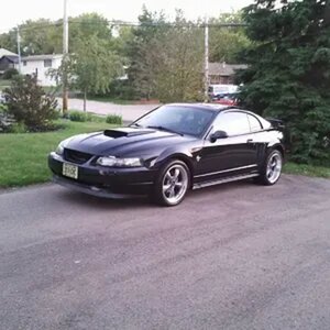Just some new pics