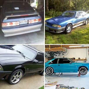 other mustangs ive owned