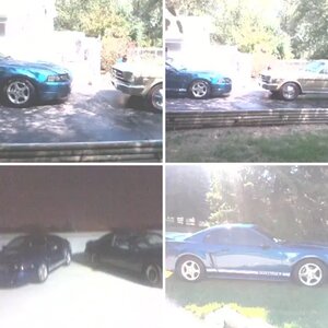 2000 mustang
