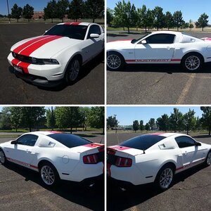 My Stang
