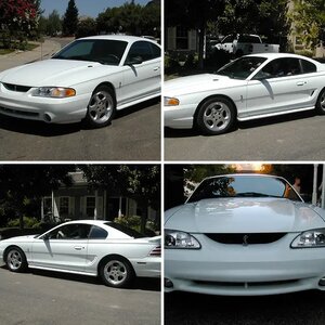 1994 Mustang Cobra SVT