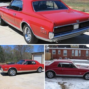My Cougar
