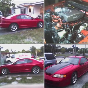 My 1995 Cobra