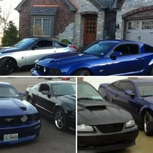 What do you think of a Mustang?