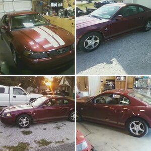 my o4 40th stang