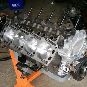 1984 GT