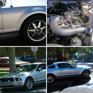 2006 V6 MUSTANG TERMANATOR