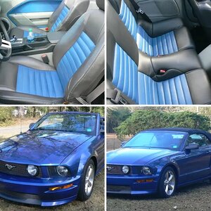 My Blue Darling