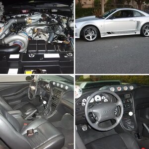 My Saleen for sale