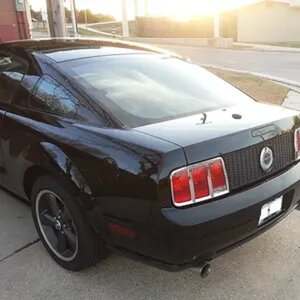 My Black Beauty