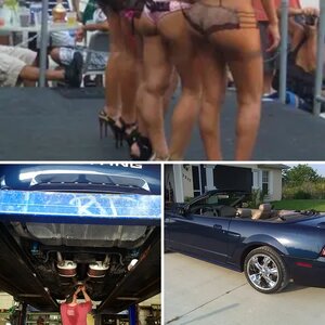 2003 Mustang Gt Vert