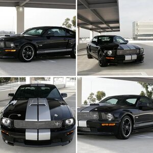 Shelby