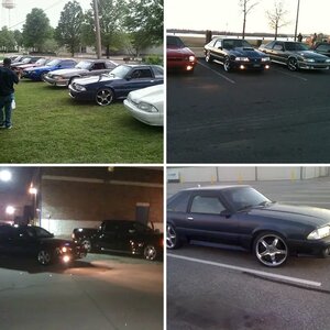 Stang family