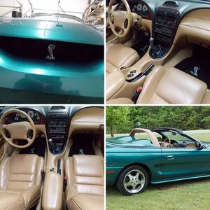 1997 SVT Cobra 48K miles