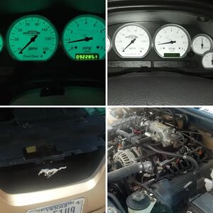 Tazz's Stang