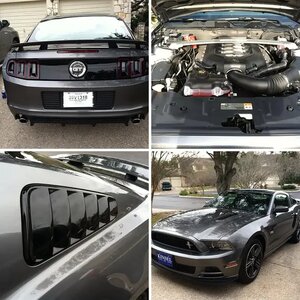 My first mustang