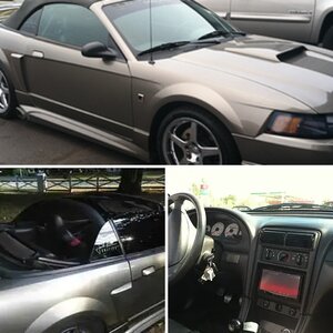 Roush