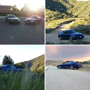 The Turdstang