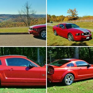 Tbear and Wife Unit's DCAR 2008 GT
