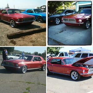 MY RIDES