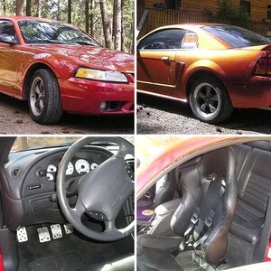 1999 Mustang Cobra SVT