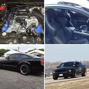 BullittGuy's 08 Bullitt
