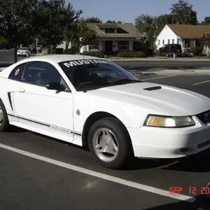 Layla, the '99 Mustang!