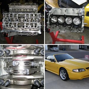 '98 Cobra Convertible