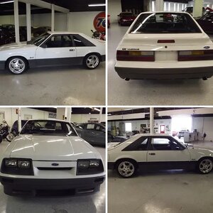 Butch's 85 LX 5.0