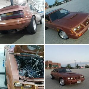 my Stang