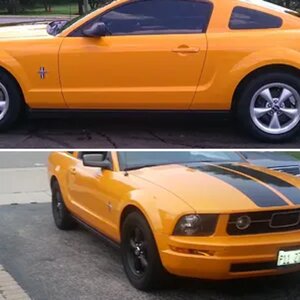 my mustang