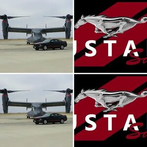 Mustang Sally