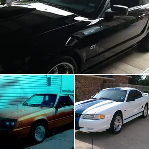 Profile Pictures