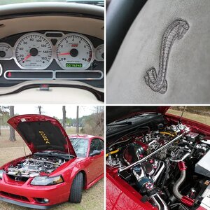 2001 Mustang Cobra