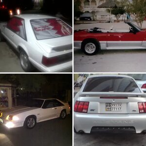 My stangs